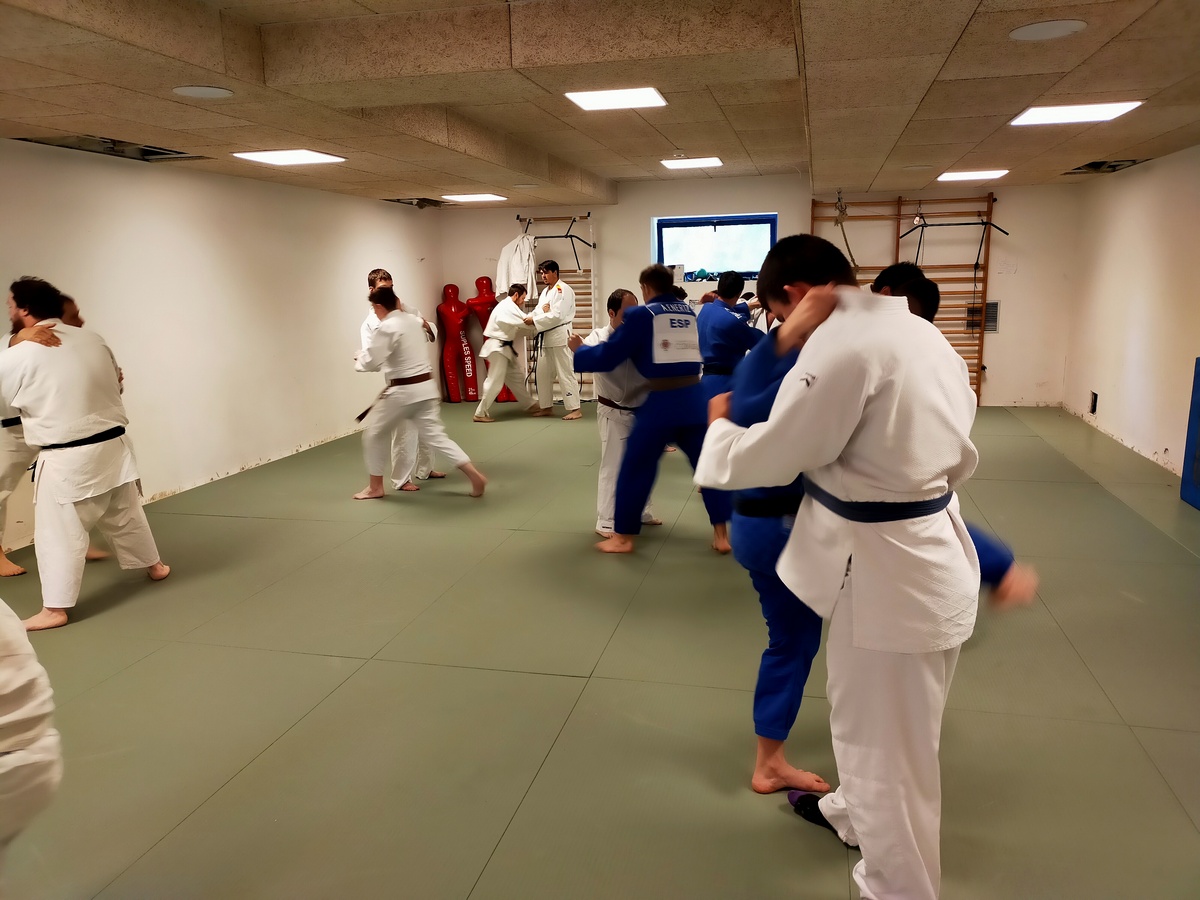 Fin de curso de la Escuela de Judo Adaptado e Inclusivo. 03-06-22
